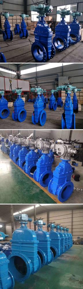 电动法兰软密封闸阀